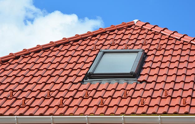 Canterbury Skylights