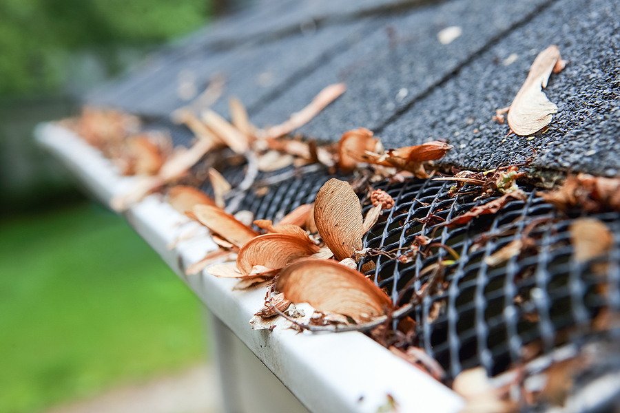 Do Gutter Guards Work Pros and Cons Explained