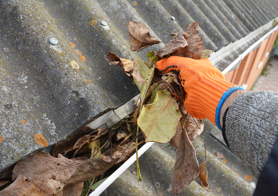 How Often Should You Clean Your Gutters Expert Advice
