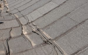 What damages the roof the most